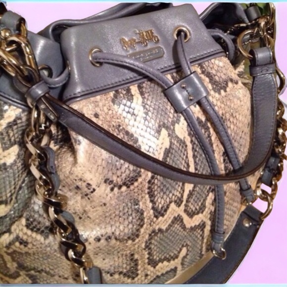 Extra Pics💙Host Pick💙 Authentic Coach Limited Edition Blue Python 💙 - Picture 13 of 15